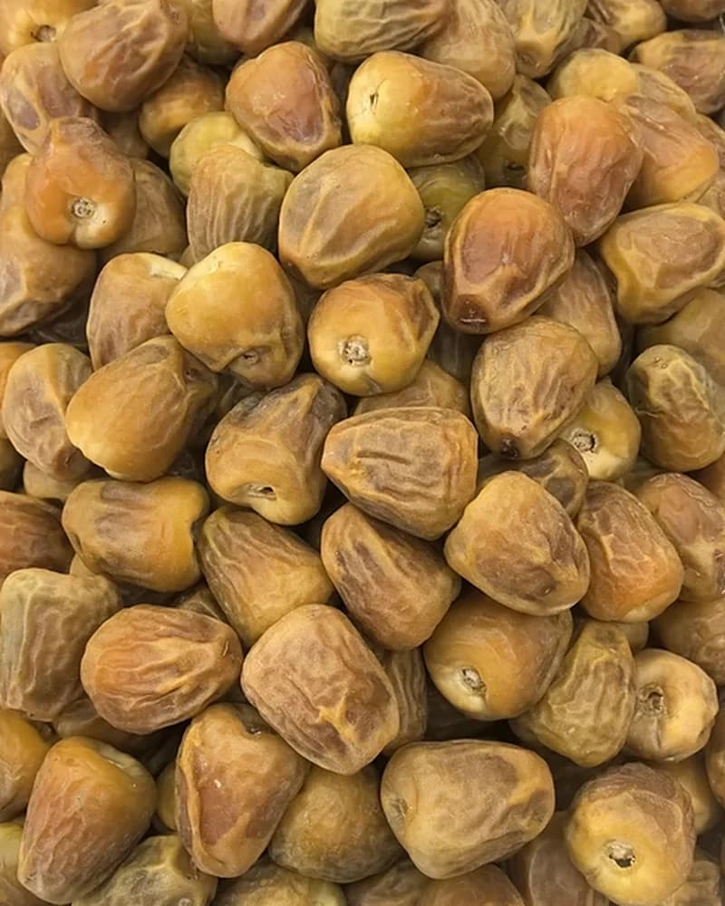 حبات المفتل الملكي متراصة